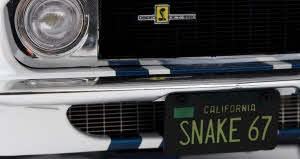 Front Grill and License Plate